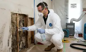 Mold remediation service widget for water damage restoration in Chattanooga, TN